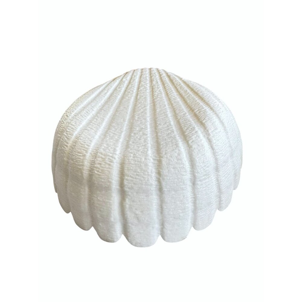 Shell-Shaped Ceramic Bowl Decorative & Functional Design - Picture 6 of 7